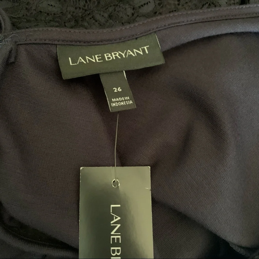 Lane Bryant Lace Inset Fit and Flare Dress NWT 26